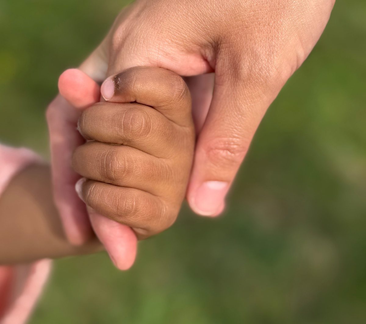 An adult's hand holding a young child's hand